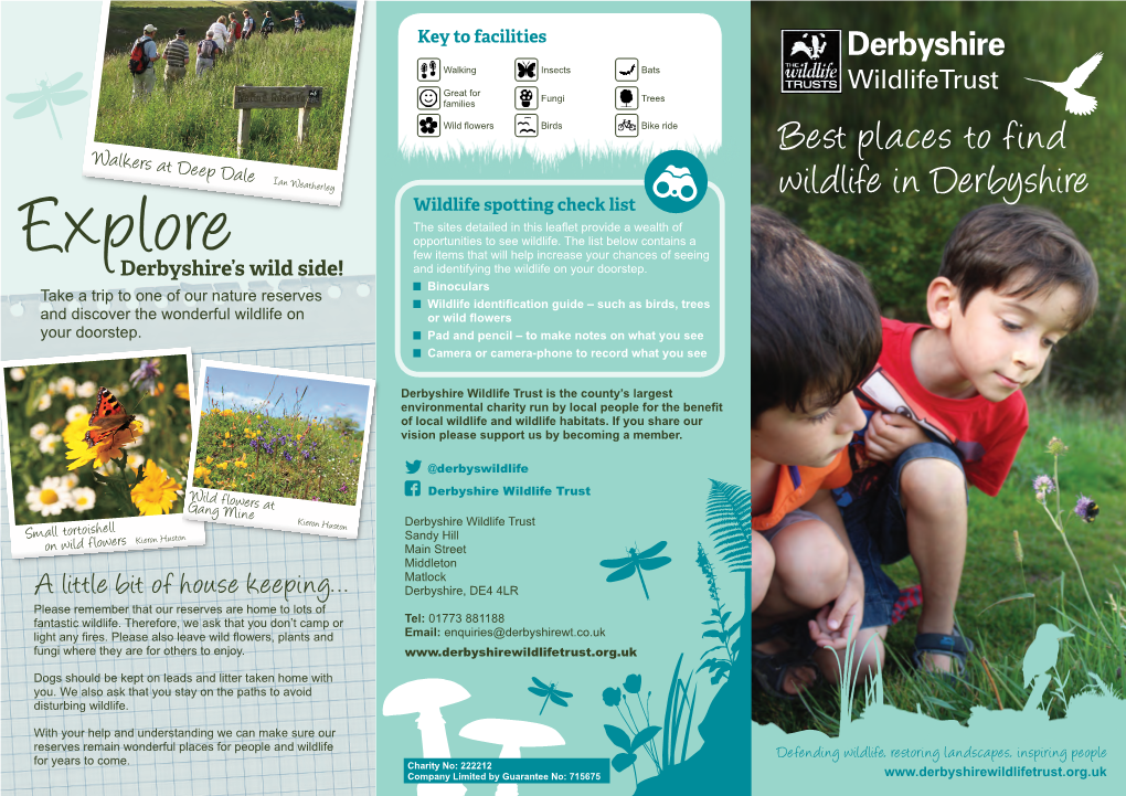 Best Places to Find Wildlife in Derbyshire