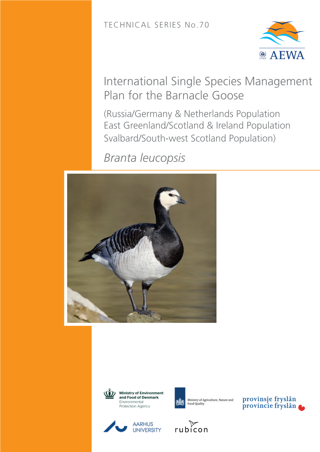 Barnacle Goose (Russia/Germany & Netherlands Population East Greenland/Scotland & Ireland Population Svalbard/South-West Scotland Population) Branta Leucopsis