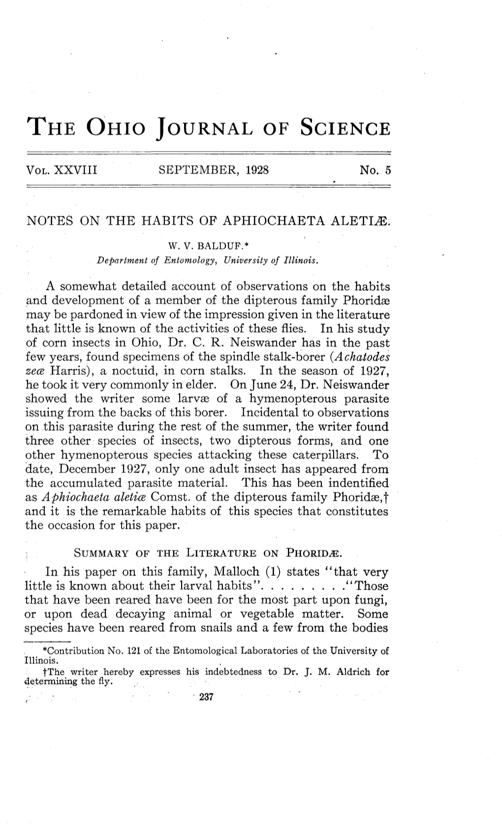 Notes on the Habits of Aphiochaeta Aletiae