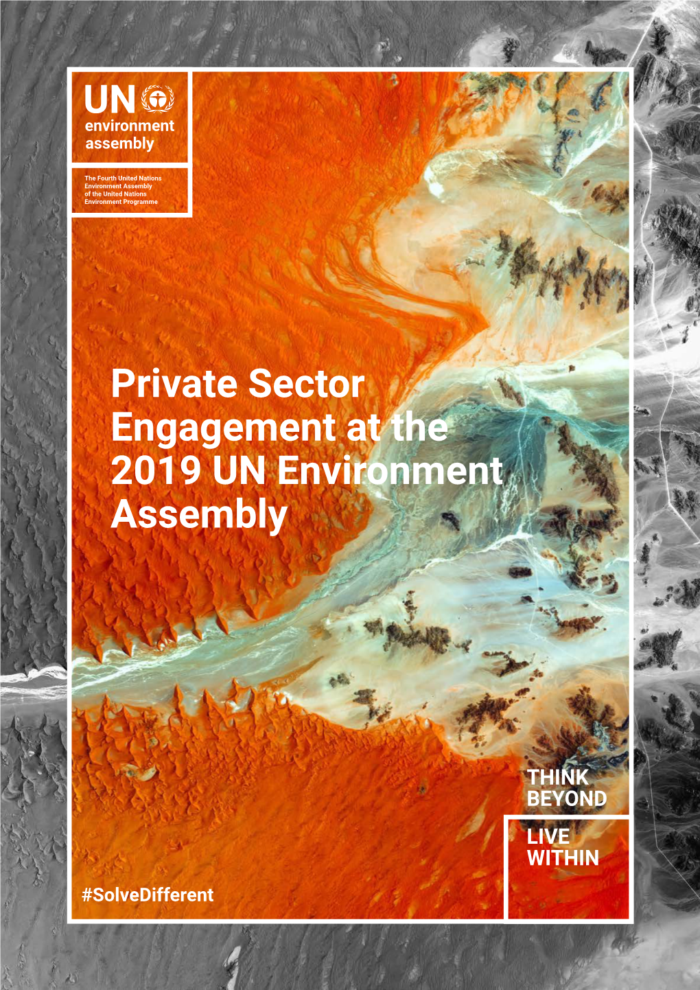 Private Sector Engagement at the 2019 UN Environment Assembly