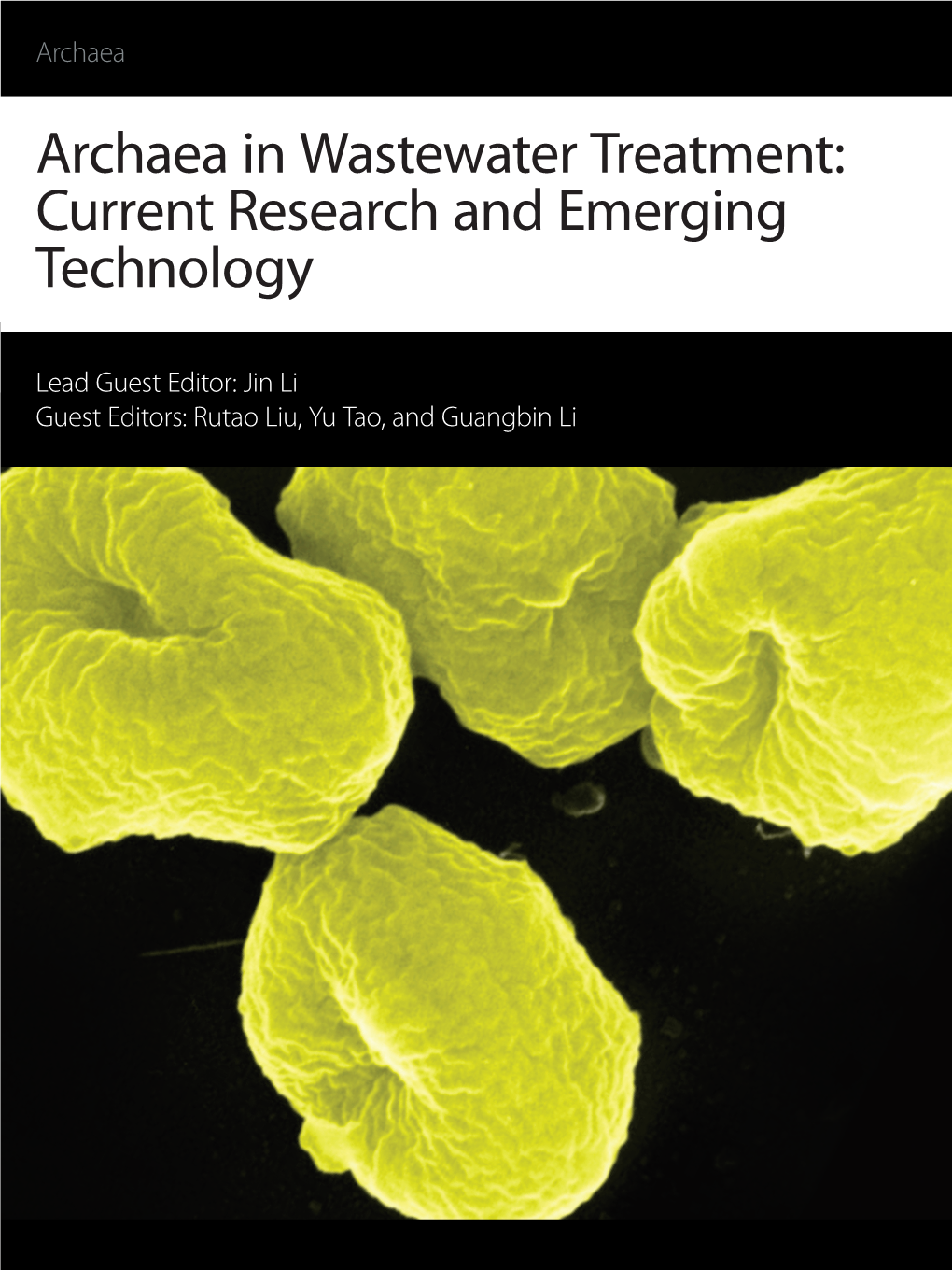 Archaea in Wastewater Treatment: Current Research and Emerging Technology