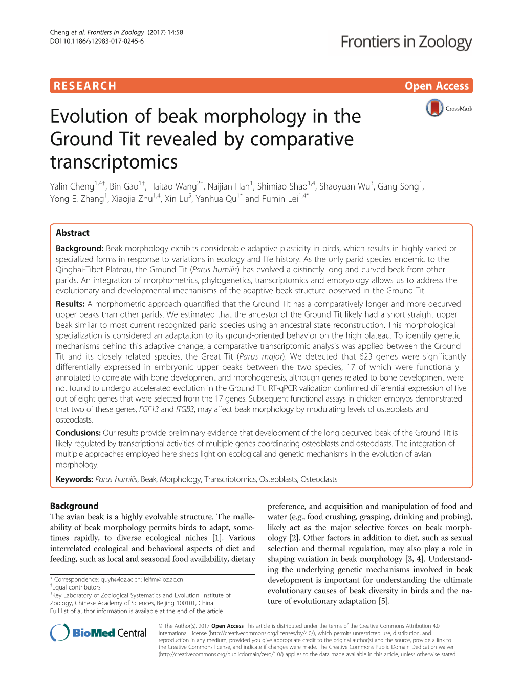 Evolution of Beak Morphology in the Ground Tit Revealed by Comparative