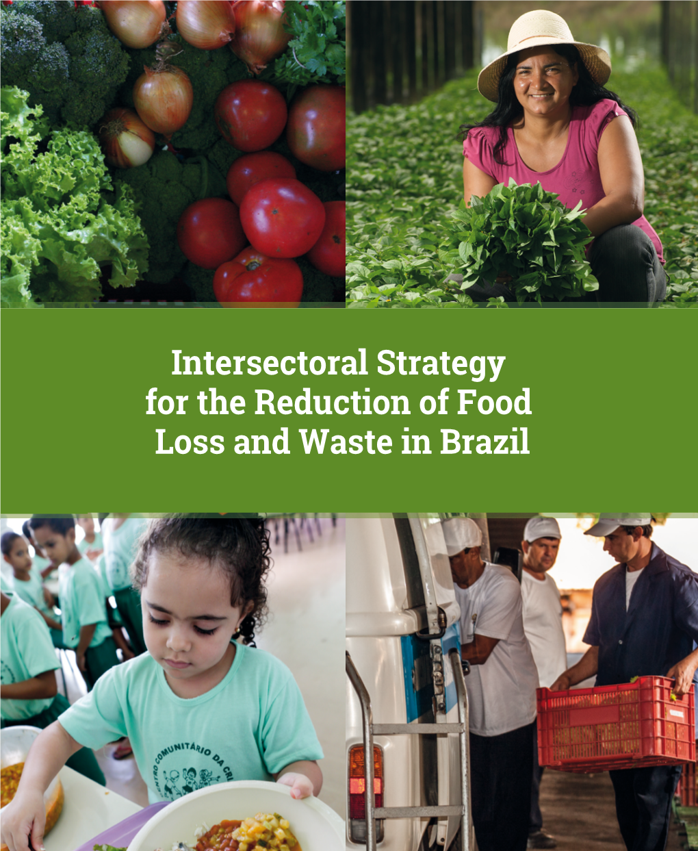 Intersectoral Strategy for the Reduction of Food Loss and Waste