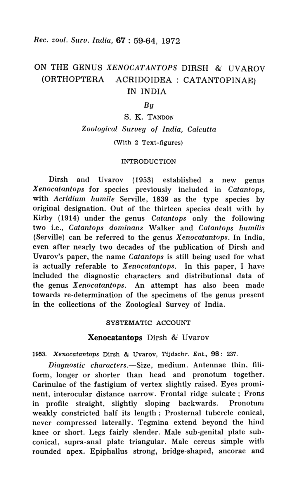 XENOCATANTOPS DIRSH &' UVAROV (ORTHOPTERA ACRIDOIDEA: CATANTOPINAE) in INDIA by S