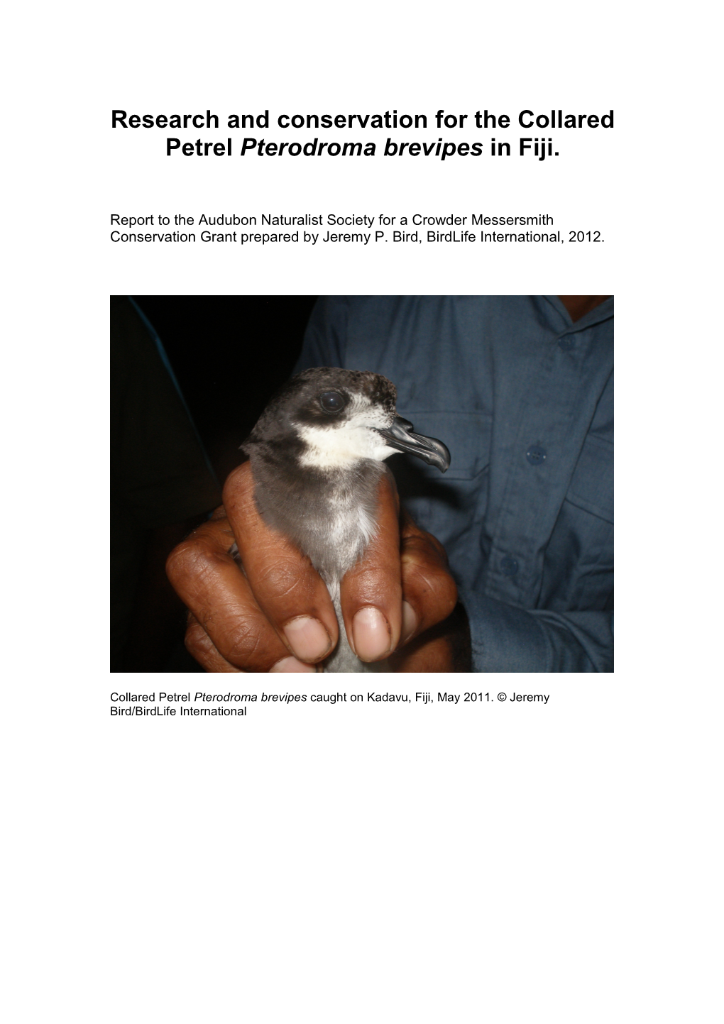 Research and Conservation for the Collared Petrel Pterodroma Brevipes in Fiji