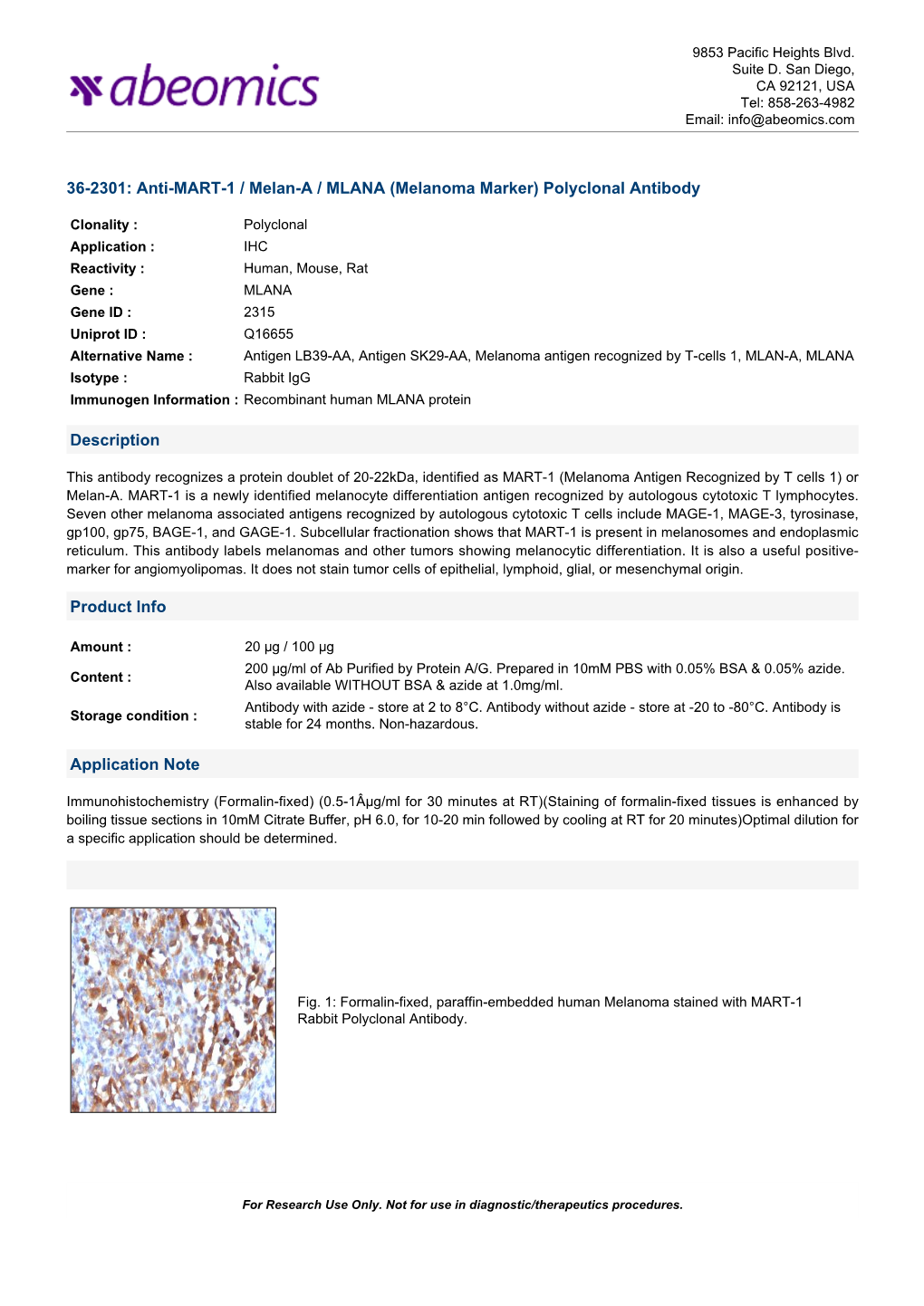 36-2301: Anti-MART-1 / Melan-A / MLANA (Melanoma Marker) Polyclonal Antibody Description Product Info Application Note