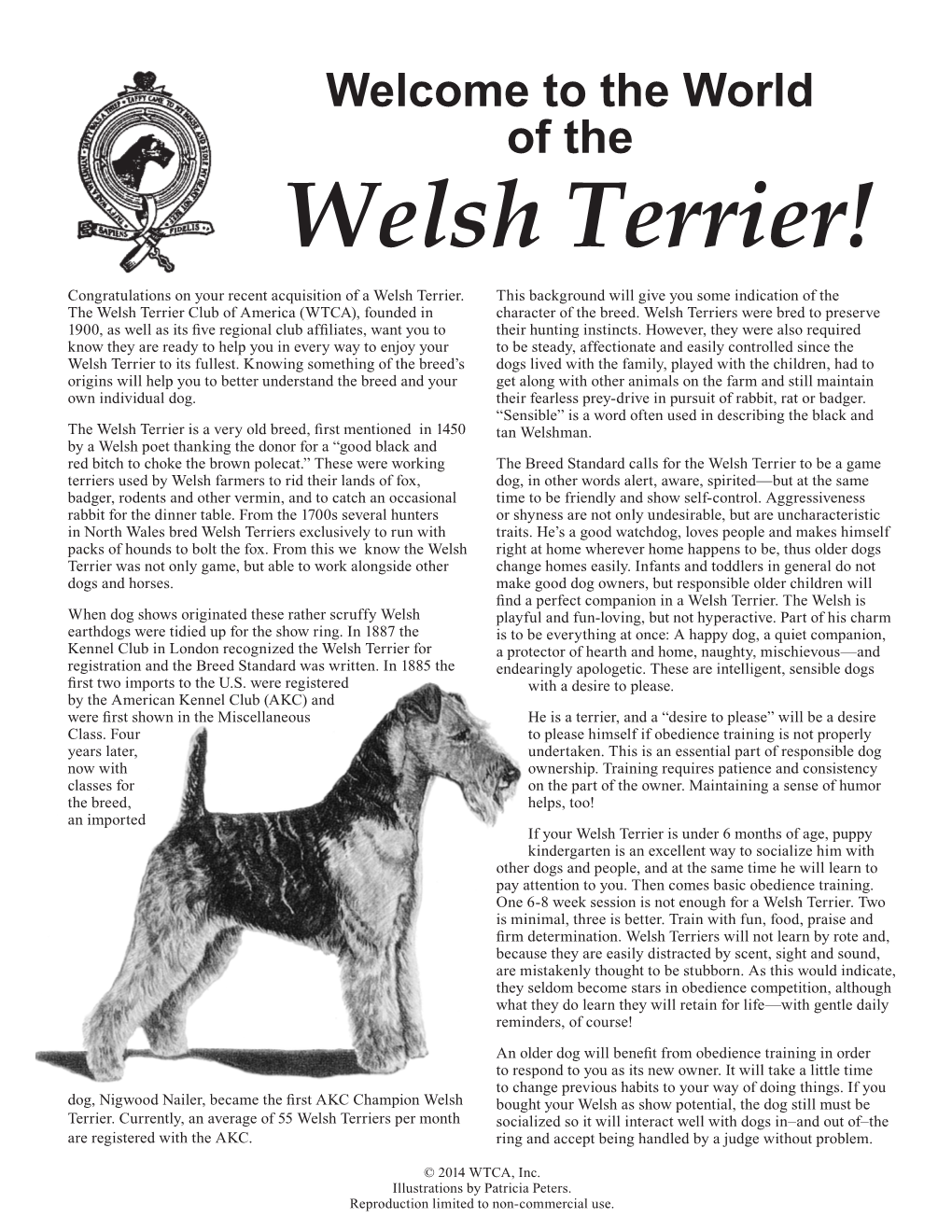 Welsh Terrier! Congratulations on Your Recent Acquisition of a Welsh Terrier