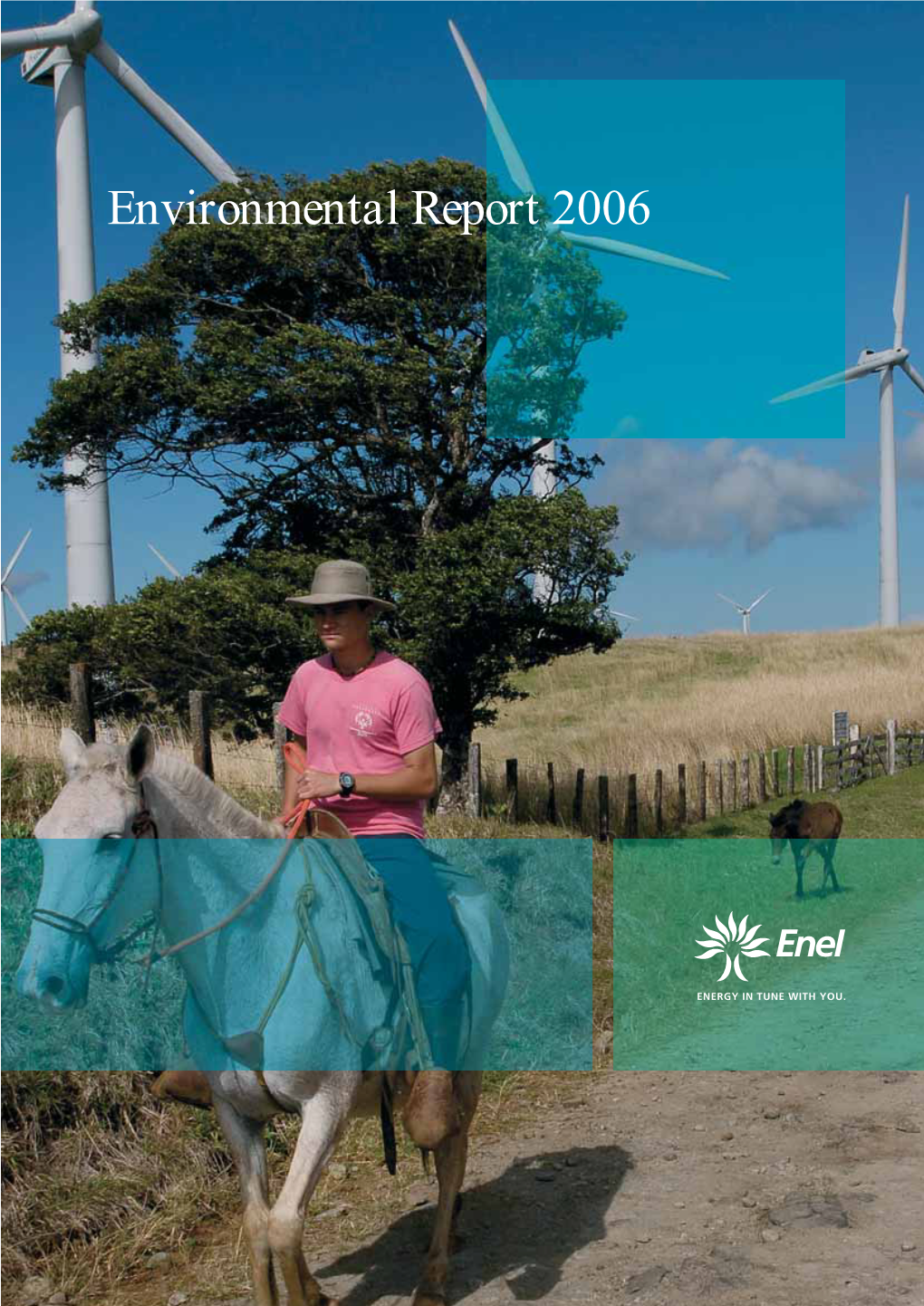 Environmental Report 2006