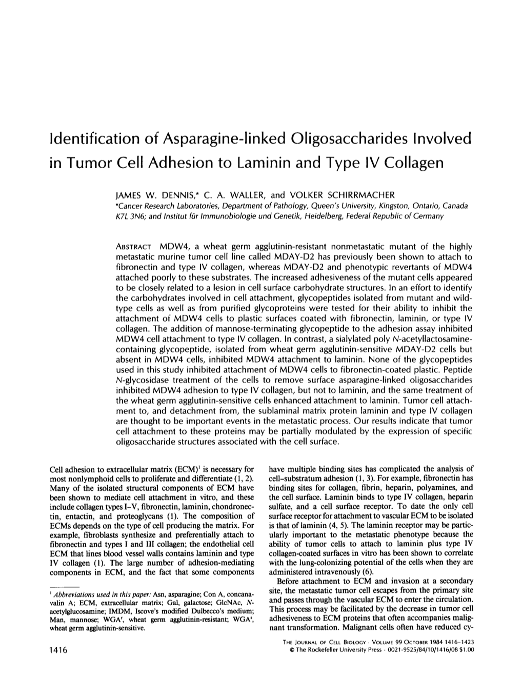 Identification of Asparagine-Linked Oligosaccharides Involved in Tumor Cell Adhesion to Laminin and Type IV Collagen