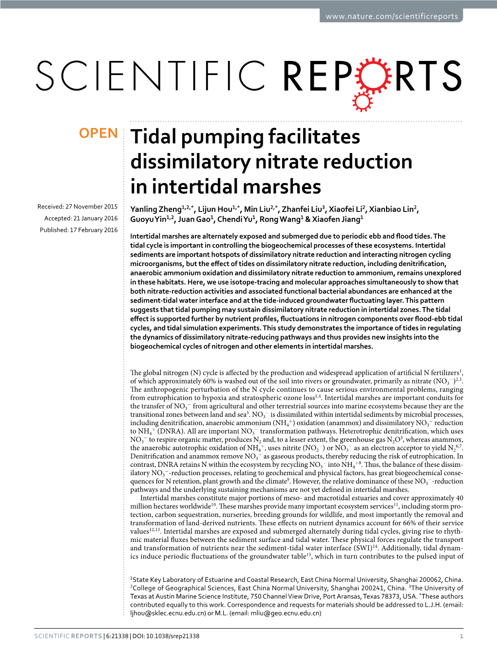 Tidal Pumping Facilitates Dissimilatory Nitrate Reduction in Intertidal Marshes