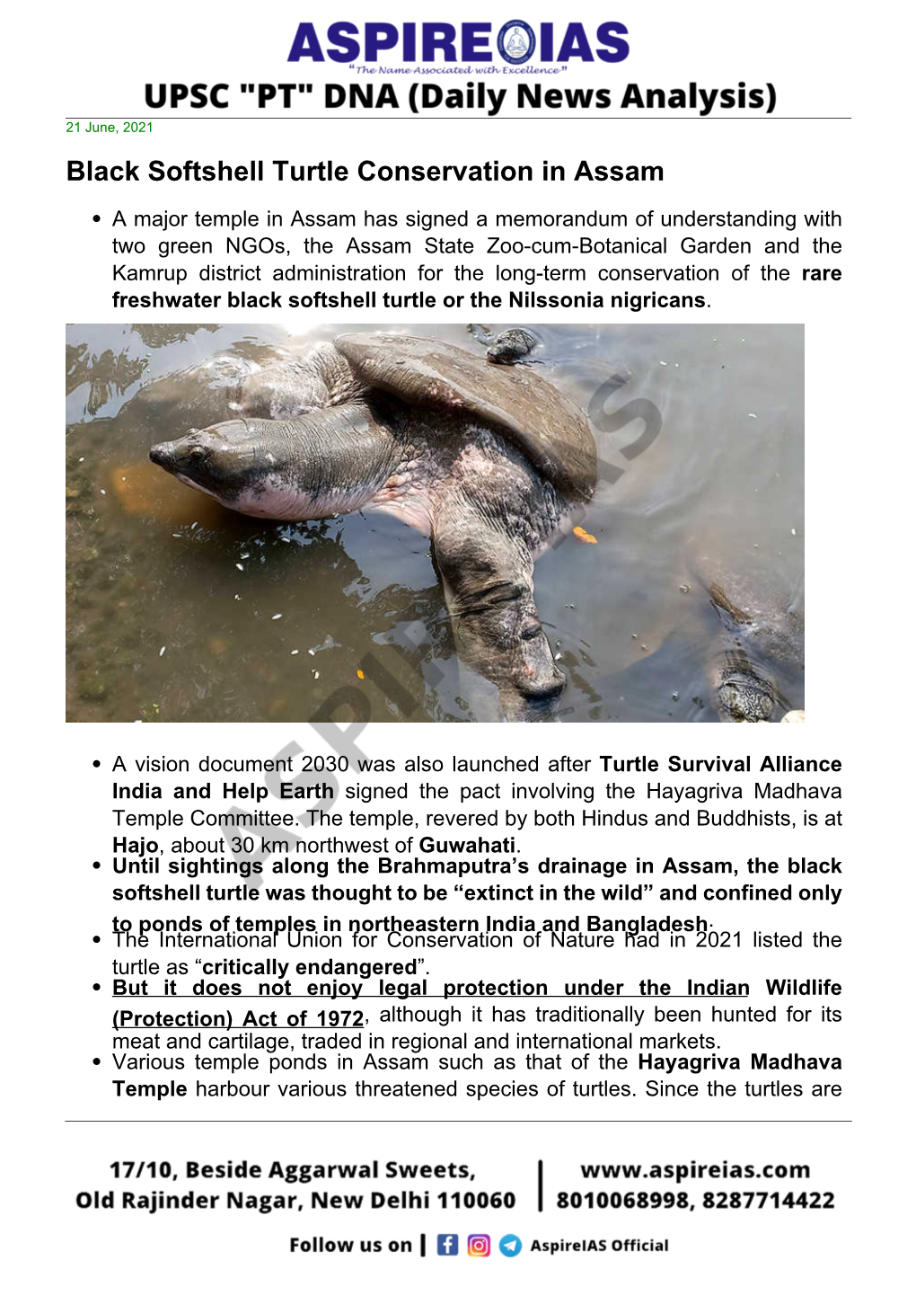 Black Softshell Turtle Conservation in Assam