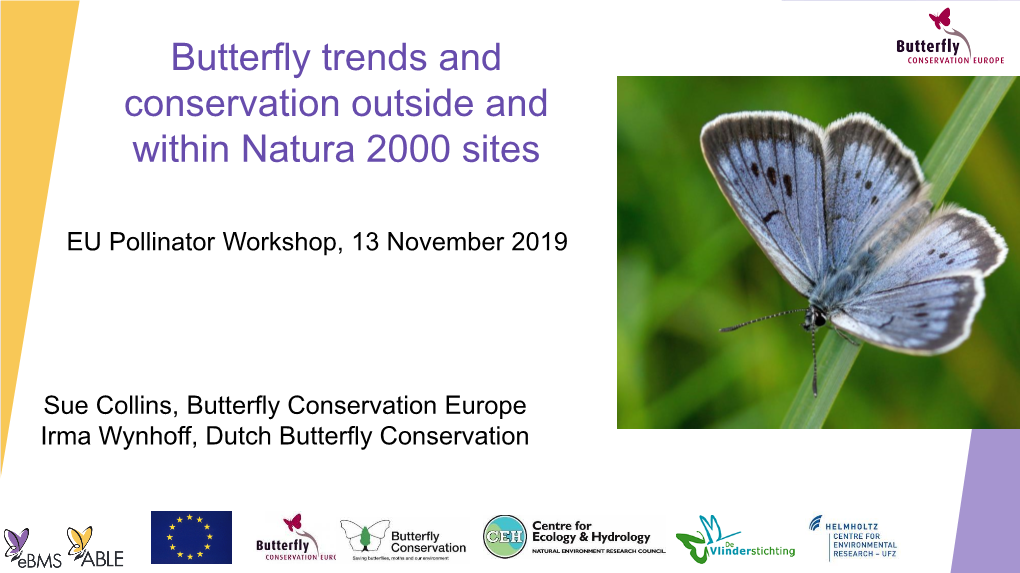 Butterfly Trends and Conservation Outside and Within Natura 2000 Sites