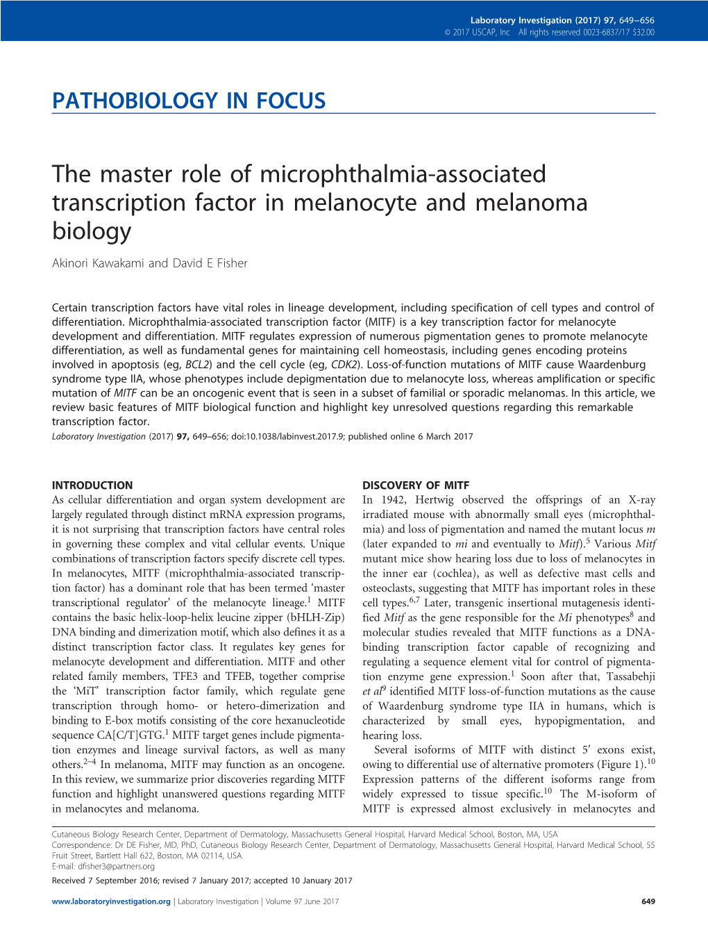 The Master Role of Microphthalmia-Associated Transcription Factor in Melanocyte and Melanoma Biology Akinori Kawakami and David E Fisher