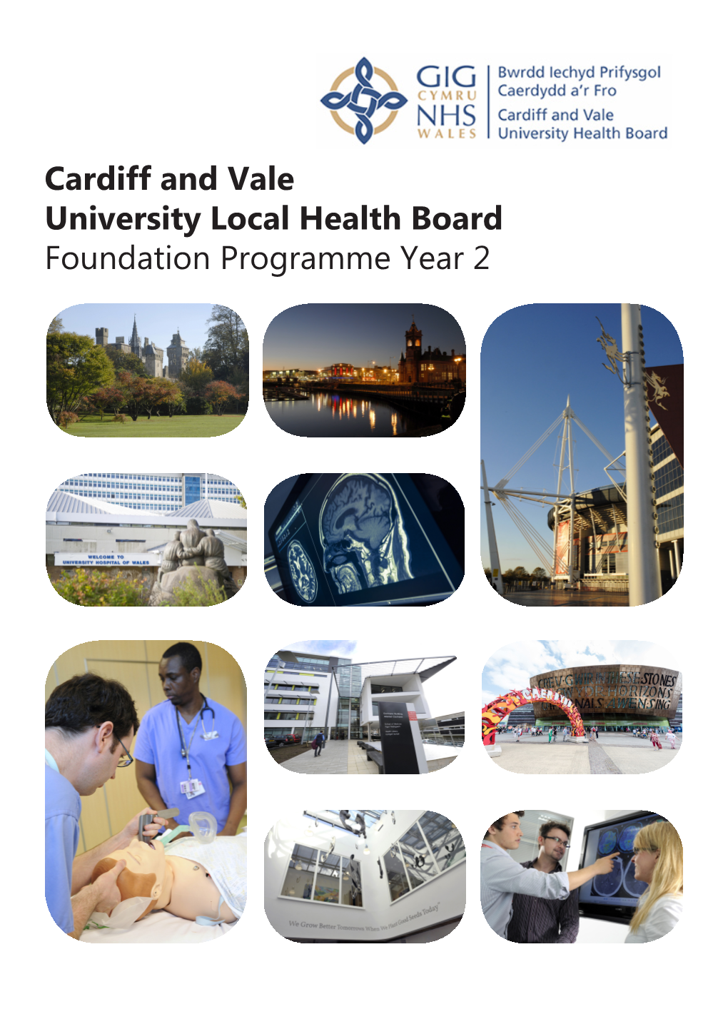 Cardiff and Vale University Local Health Board Foundation Programme Year 2 What Makes Cardiff So Great!