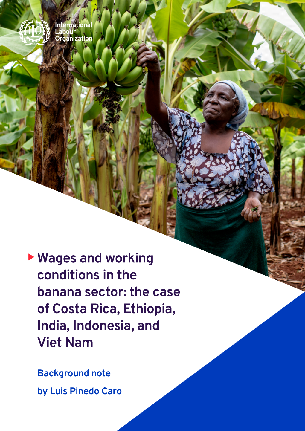 Wages and Working Conditions in the Banana Sector: the Case of Costa Rica, Ethiopia, India, Indonesia, and Viet Nam