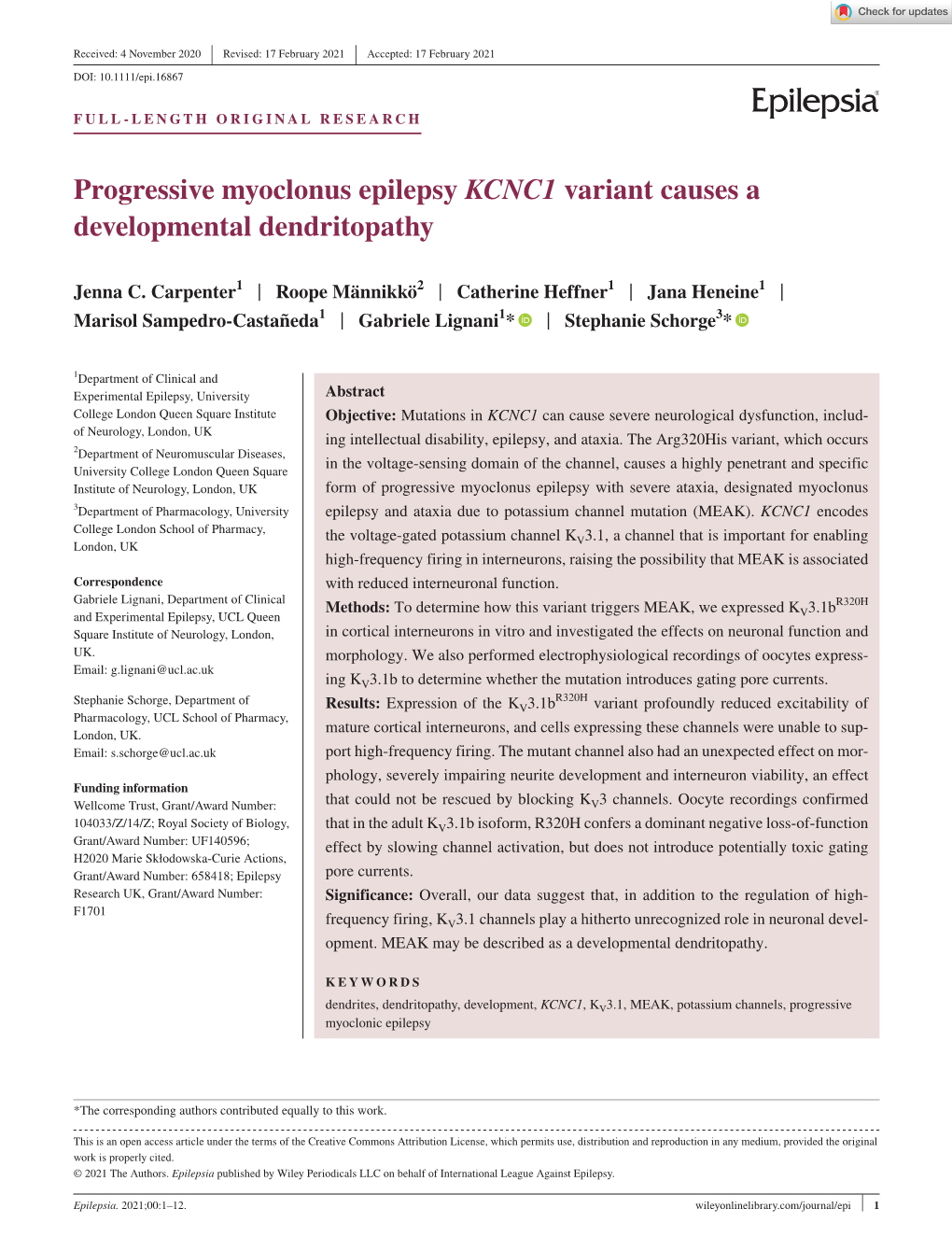 Progressive Myoclonus Epilepsy KCNC1 Variant Causes a Developmental Dendritopathy