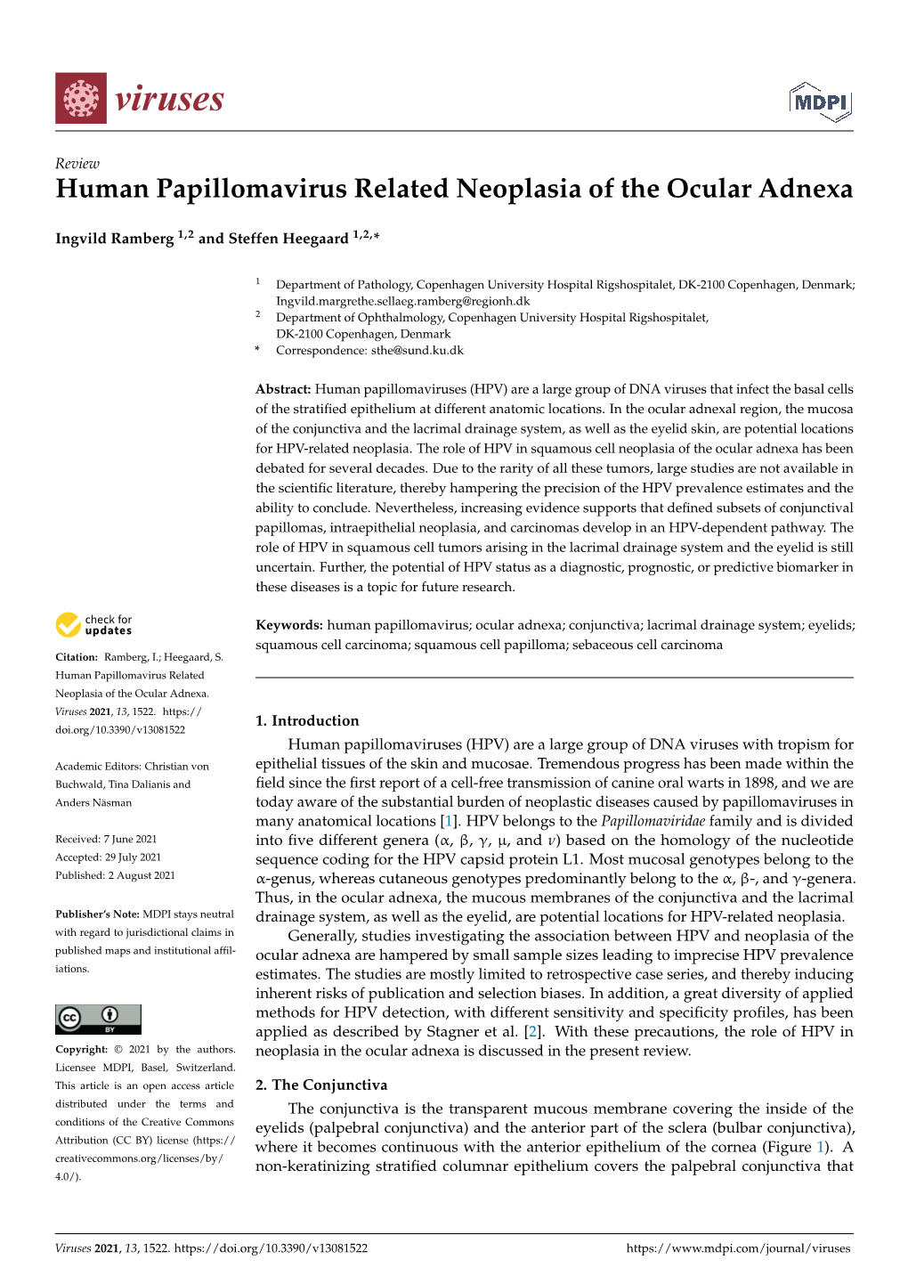 Human Papillomavirus Related Neoplasia of the Ocular Adnexa