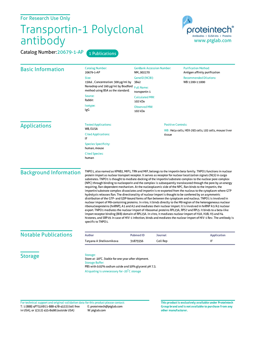 Transportin-1 Polyclonal Antibody Catalog Number:20679-1-AP 1 Publications