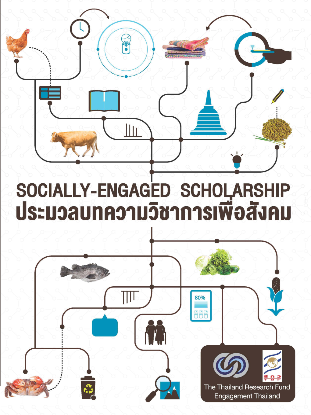 7 Years of Engagement to Toxic Jellyfish Surveillance System And