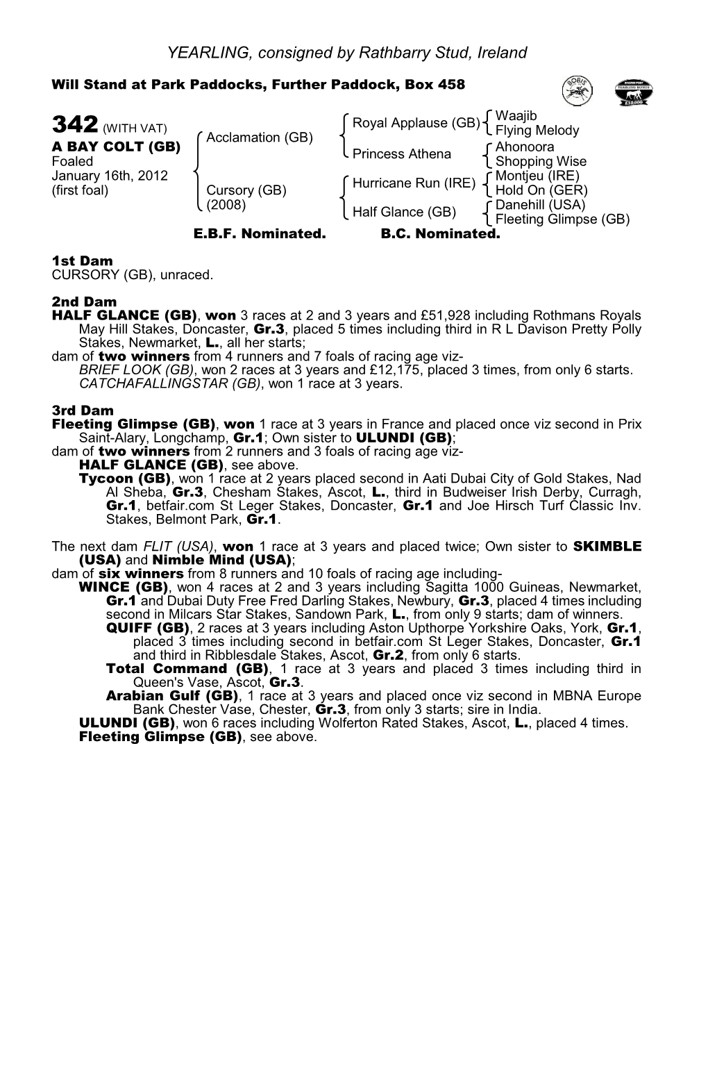 YEARLING, Consigned by Rathbarry Stud, Ireland