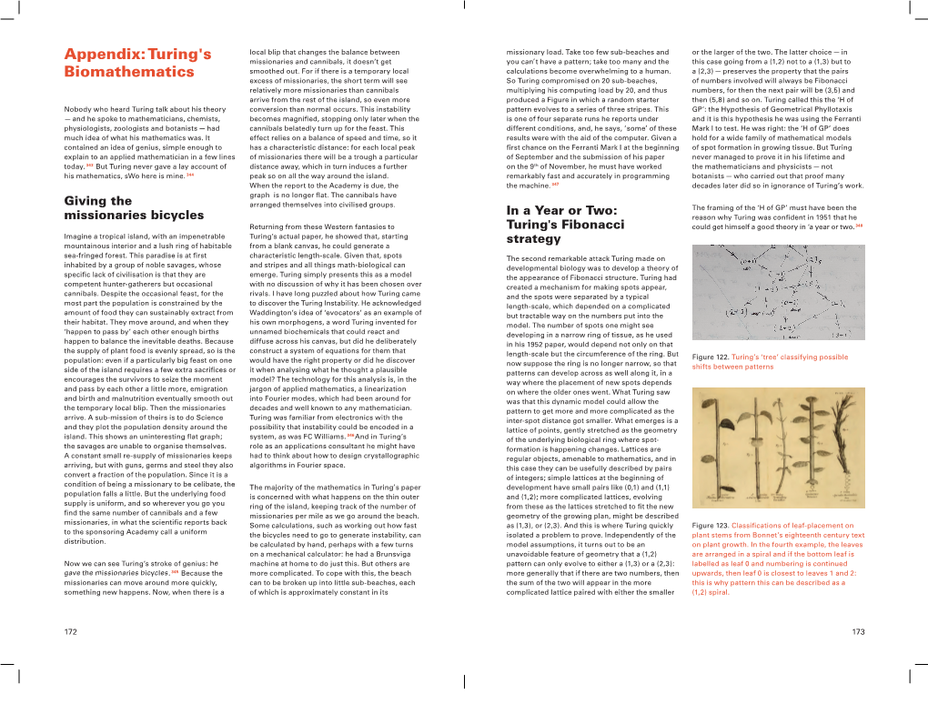 Turing's Biomathematics