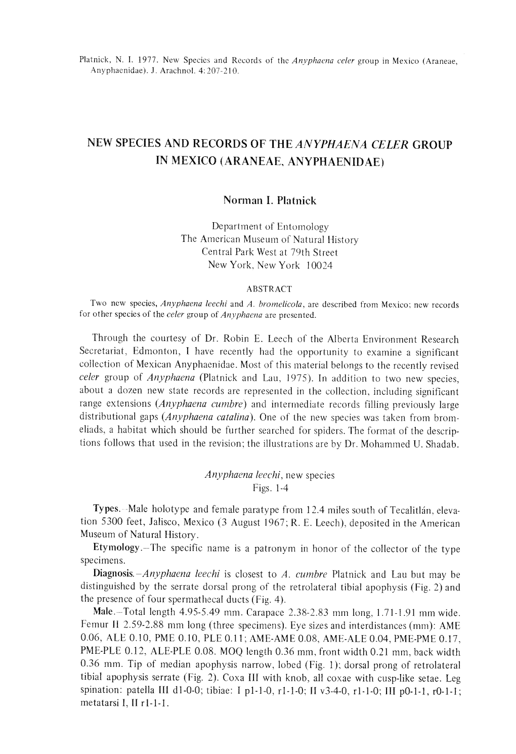 NEW SPECIES and RECORDS of the ANYPHAENA CELER GROUP in MEXICO (ARANEAE, ANYPHAENIDAE ) Norman I . Platnick Department of Entomo