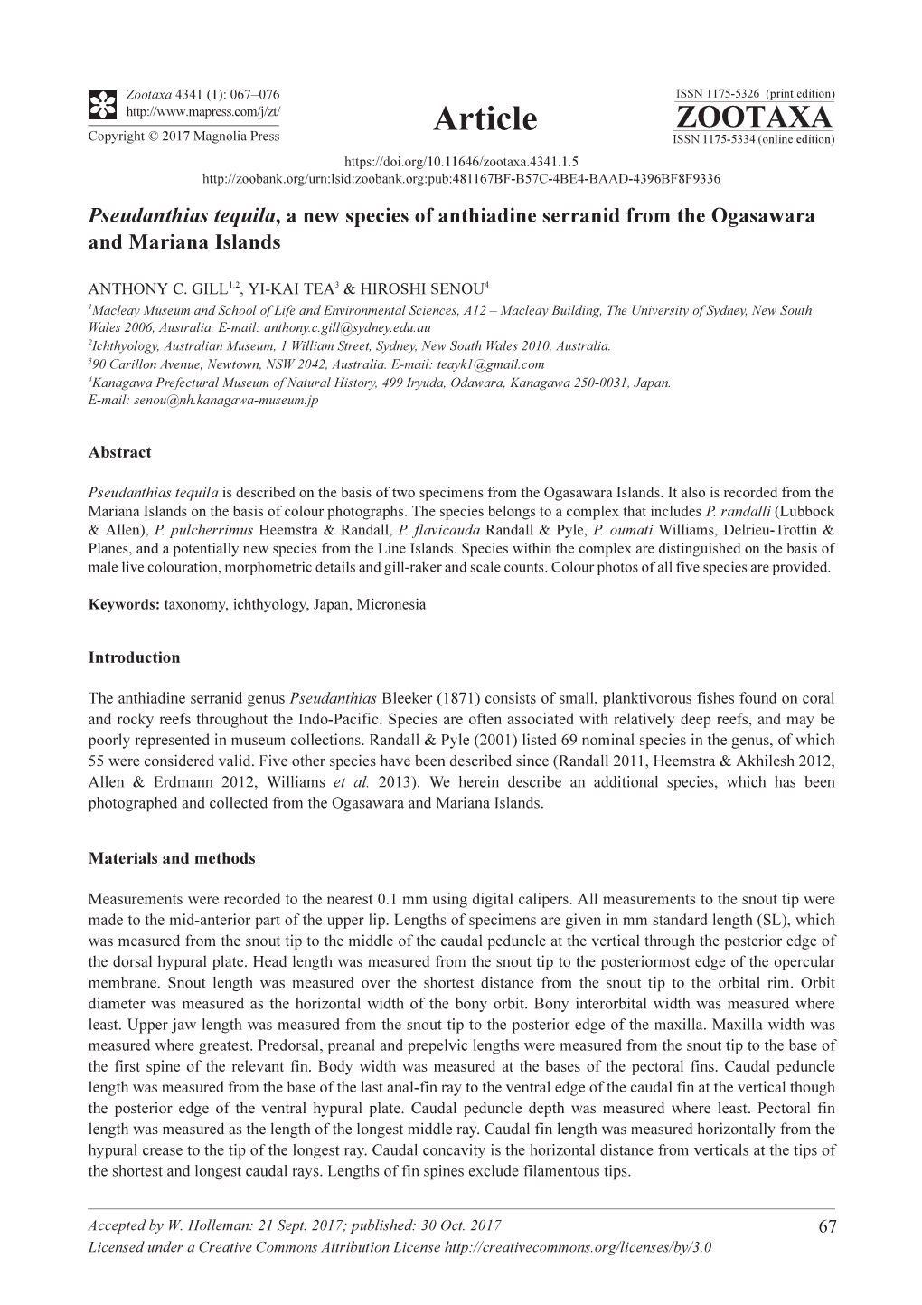 Pseudanthias Tequila, a New Species of Anthiadine Serranid from the Ogasawara and Mariana Islands