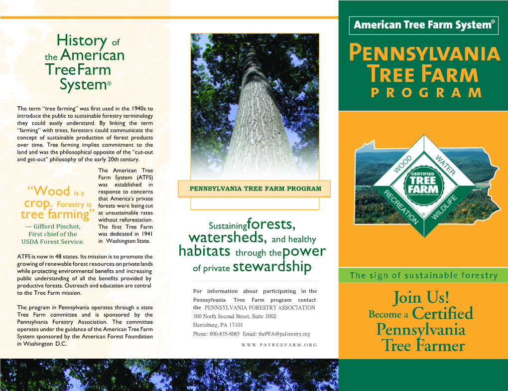 History of the American Tree Farm System®