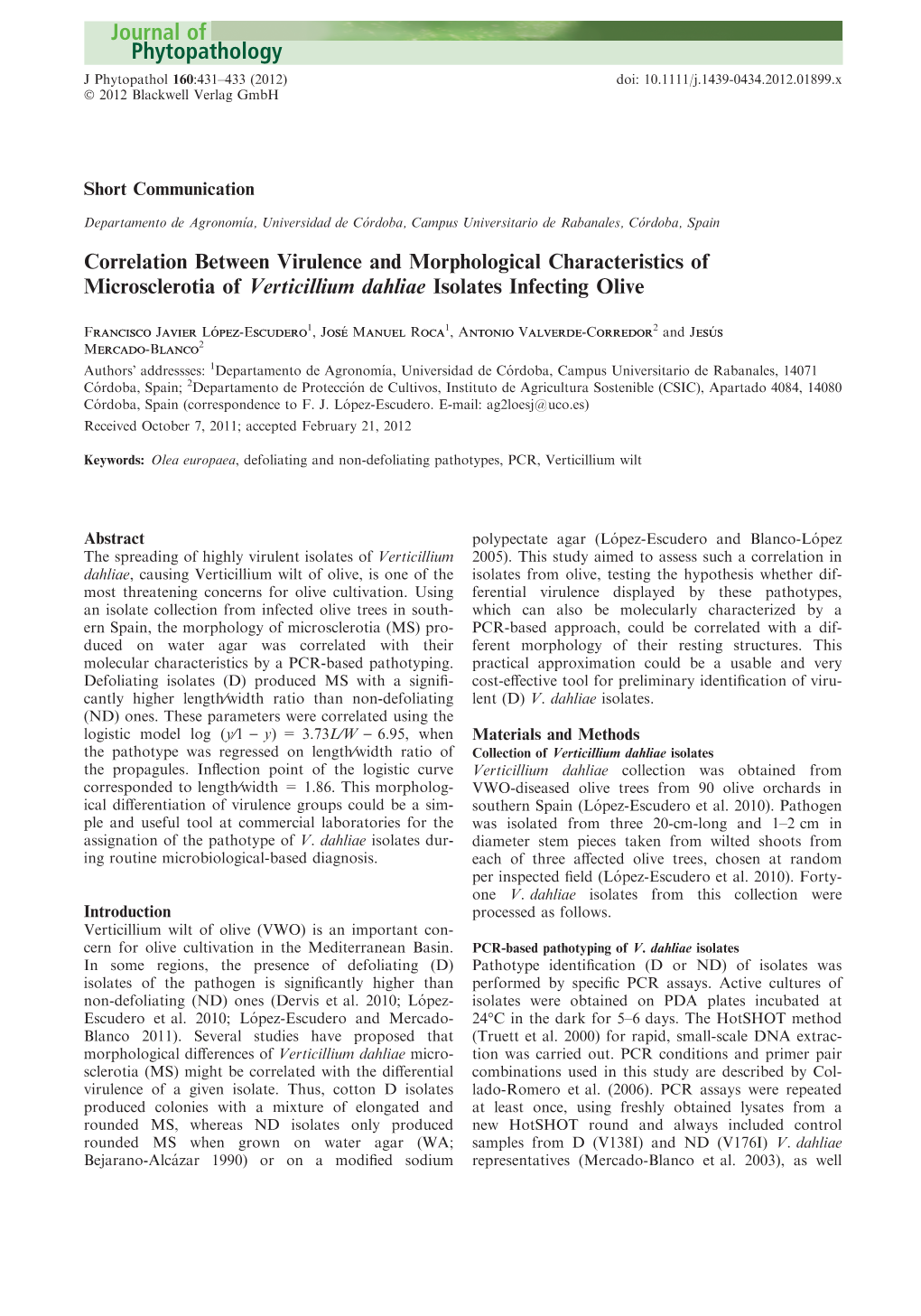 Correlation Between Virulence and Morphological Characteristics of Microsclerotia of Verticillium Dahliae Isolates Infecting Olive