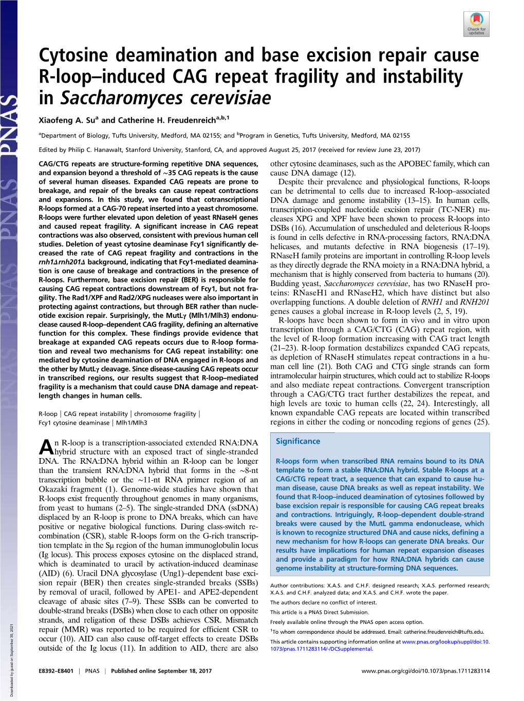 Cytosine Deamination and Base Excision Repair Cause R-Loop–Induced CAG Repeat Fragility and Instability in Saccharomyces Cerevisiae