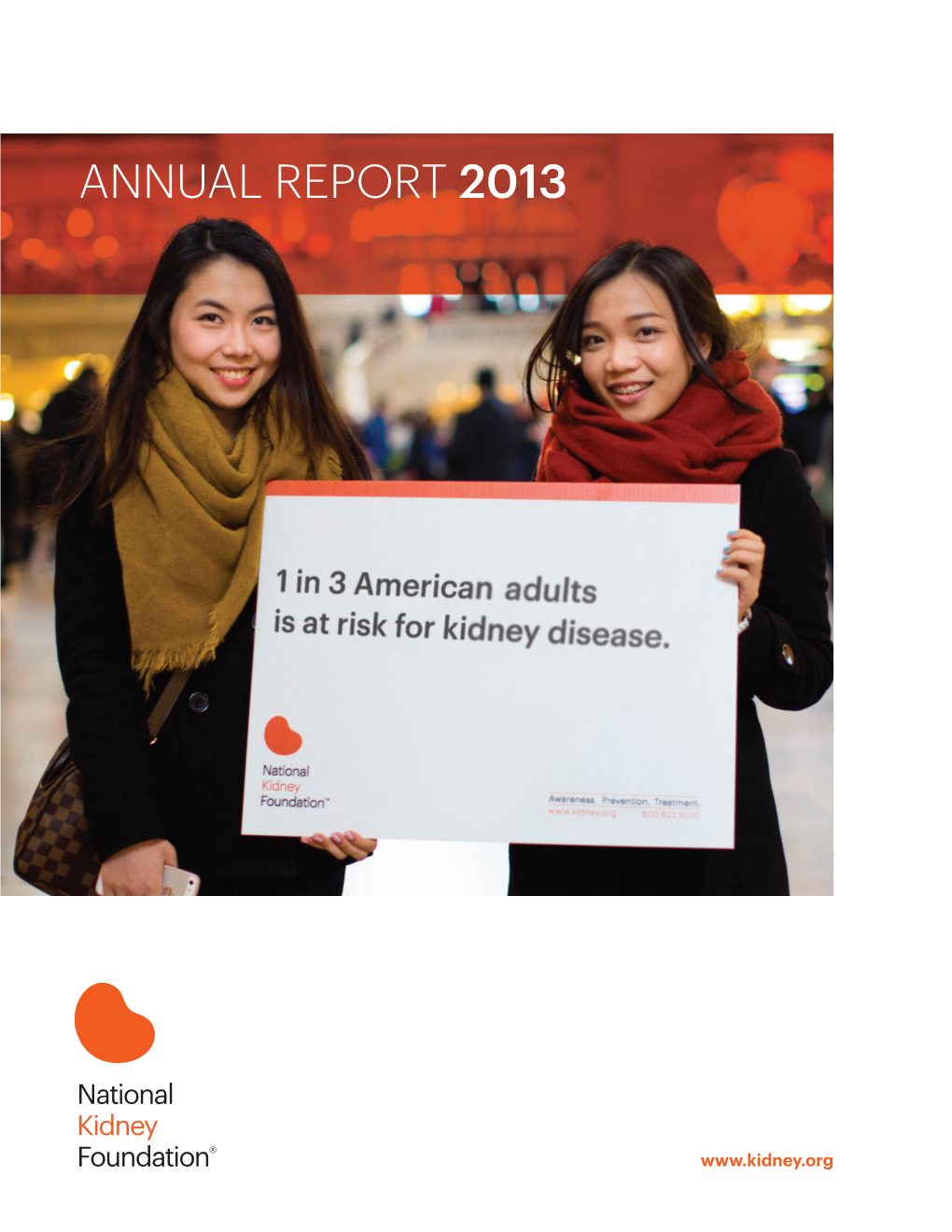 Annual Report 2013