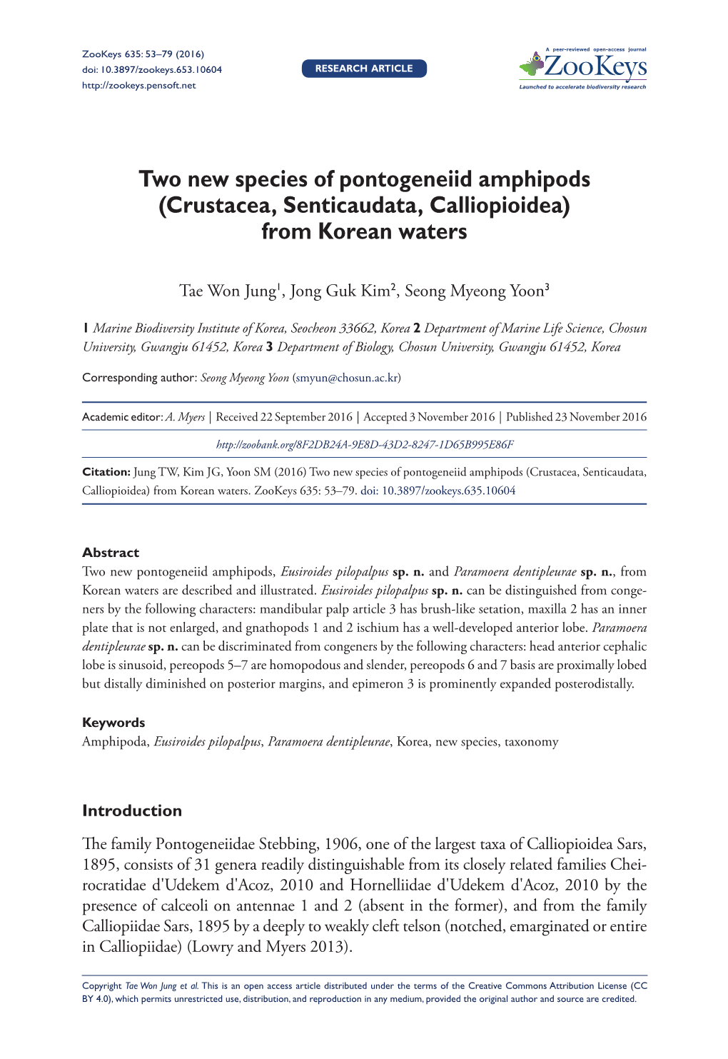 ﻿Two New Species of Pontogeneiid Amphipods (Crustacea, Senticaudata, Calliopioidea) from Korean Waters