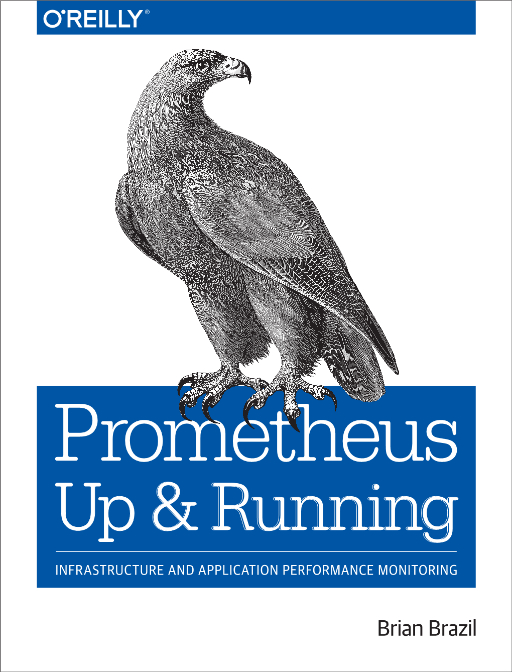 Prometheus up & Running INFRASTRUCTURE and APPLICATION PERFORMANCE MONITORING