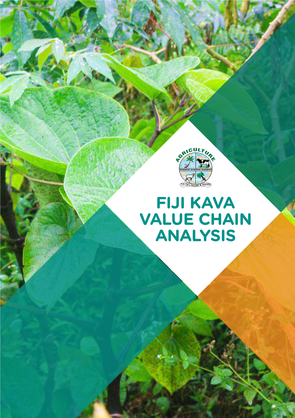 Fiji Kava Value Chain Analysis Report