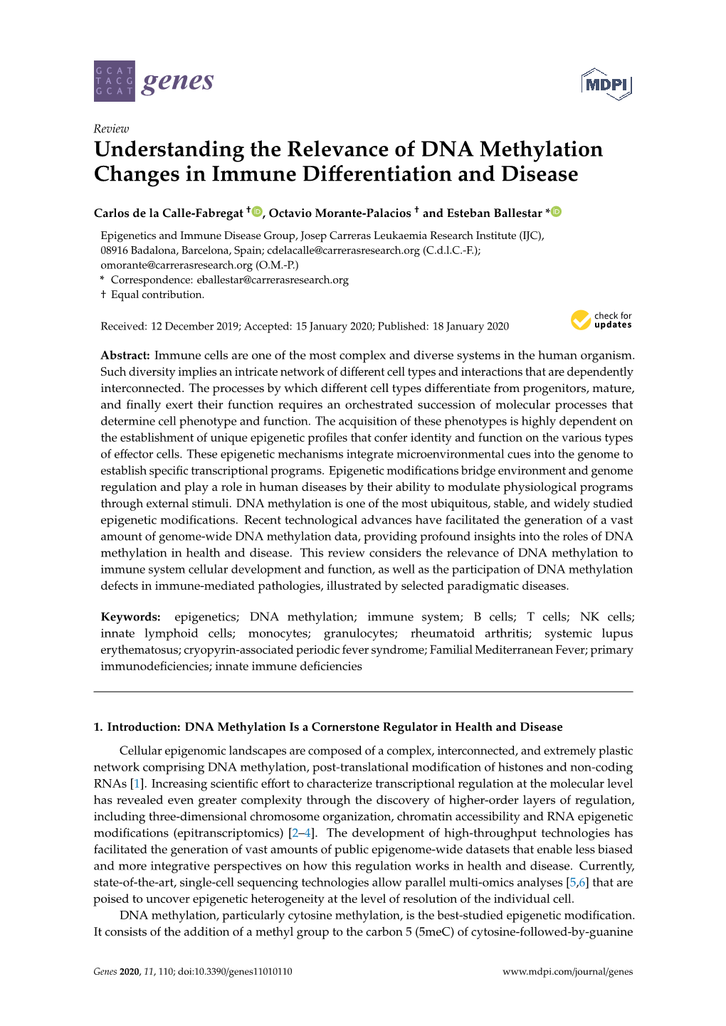 Understanding the Relevance of DNA Methylation Changes in Immune Diﬀerentiation and Disease