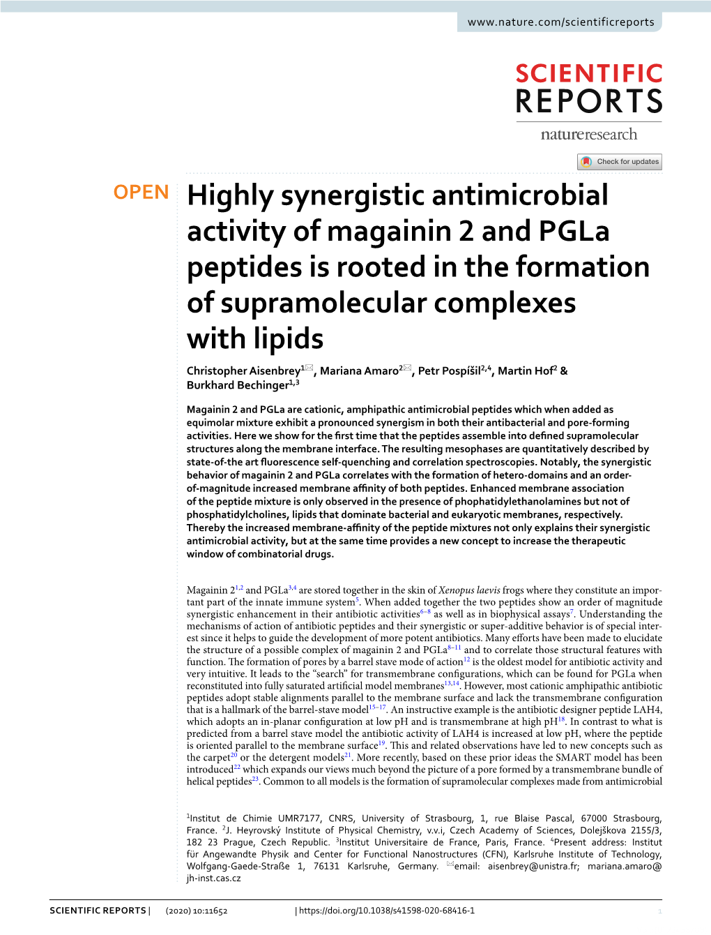 Highly Synergistic Antimicrobial Activity of Magainin 2 and Pgla Peptides Is Rooted in the Formation of Supramolecular Complexes