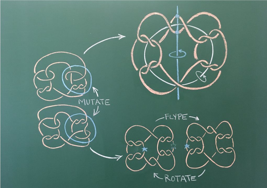 Symmetry & Mutation