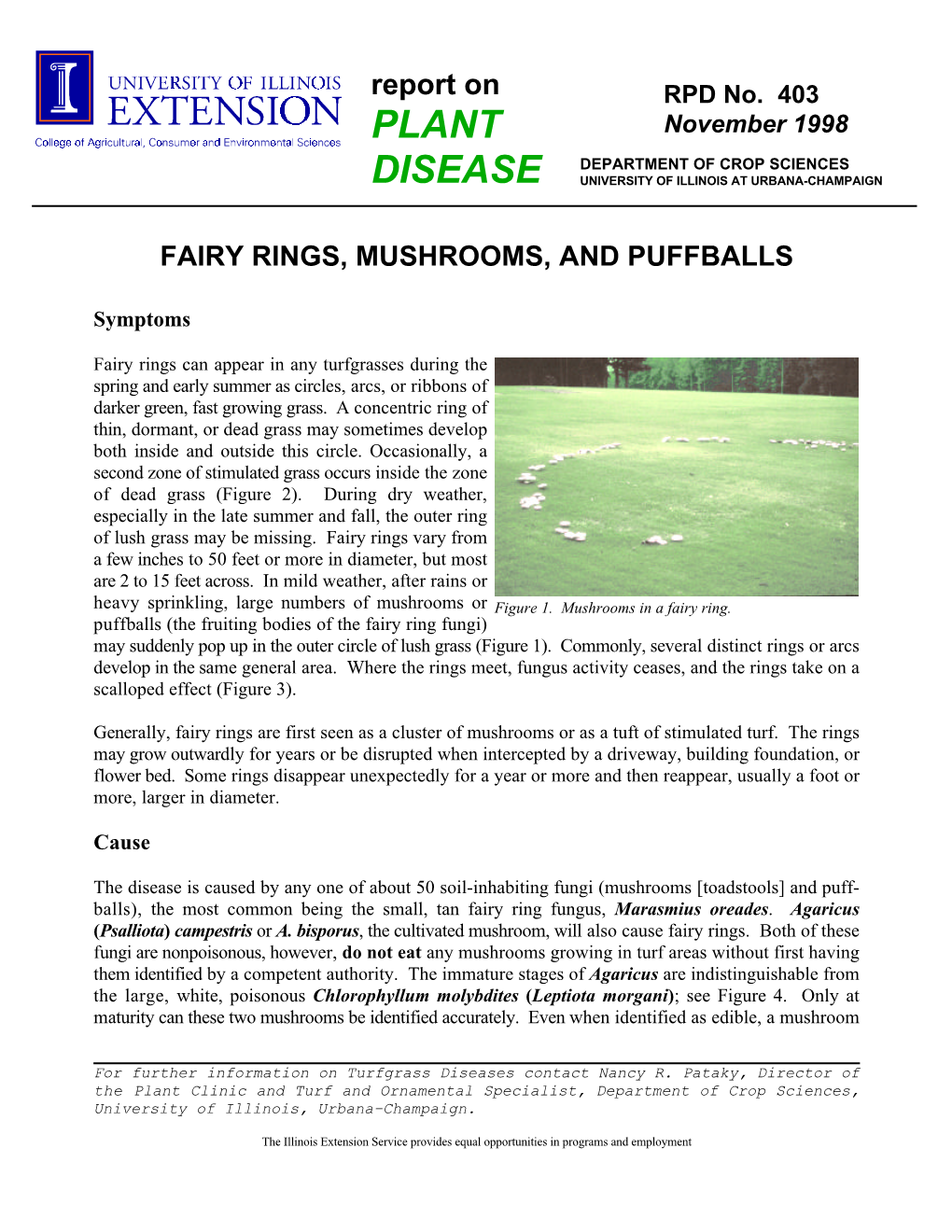 Fairy Rings, Mushrooms, and Puffballs