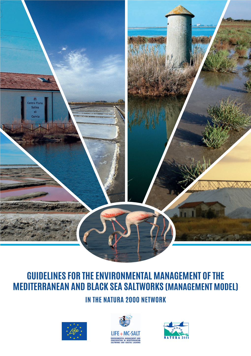 Guidelines for the Environmental Management