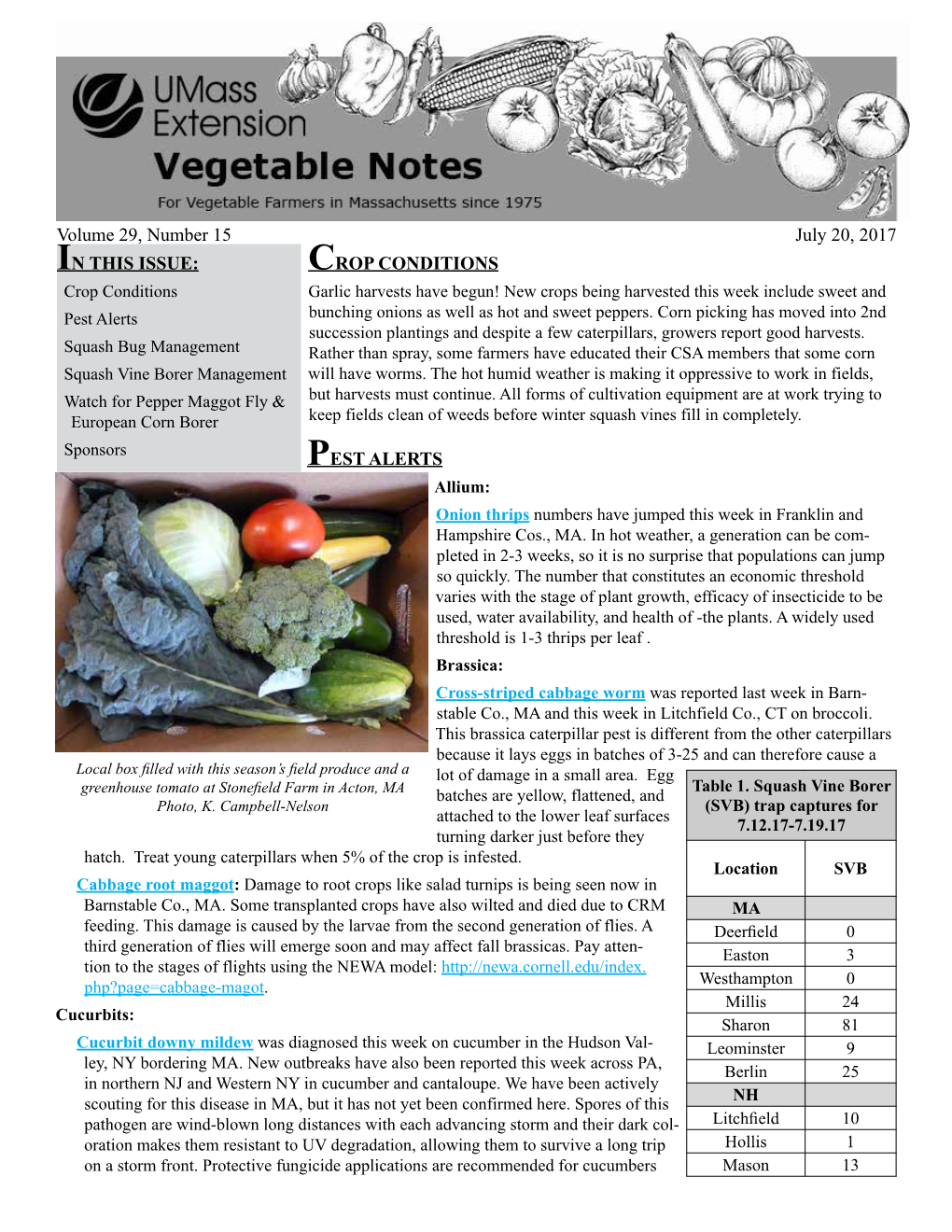 Squash Vine Borer Management Will Have Worms