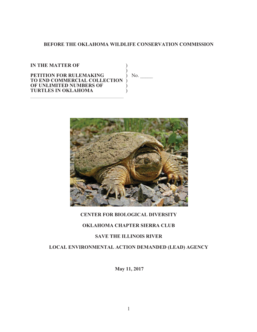 Freshwater Turtles Petition