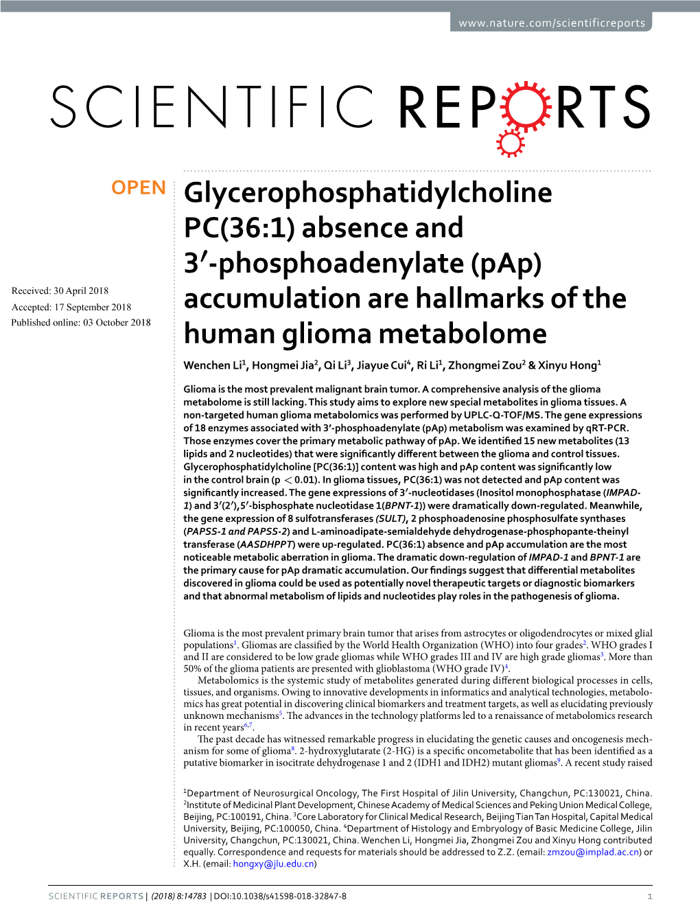 Accumulation Are Hallmarks of the Human Glioma Metab