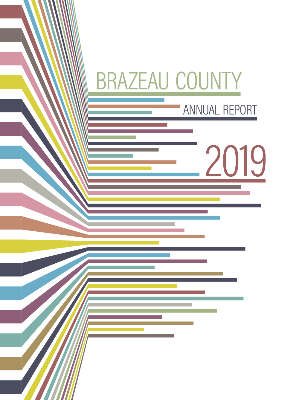 Annual Report 2019 Reeve's Report