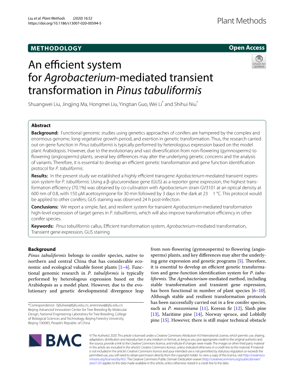 An Efficient System for Agrobacterium-Mediated Transient