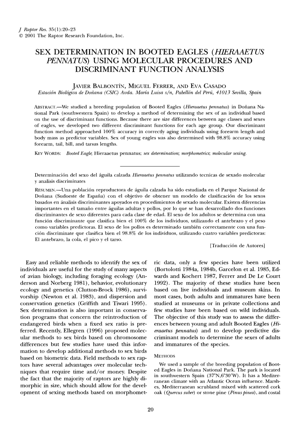 SEX DETERMINATION in BOOTED EAGLES &Lpar