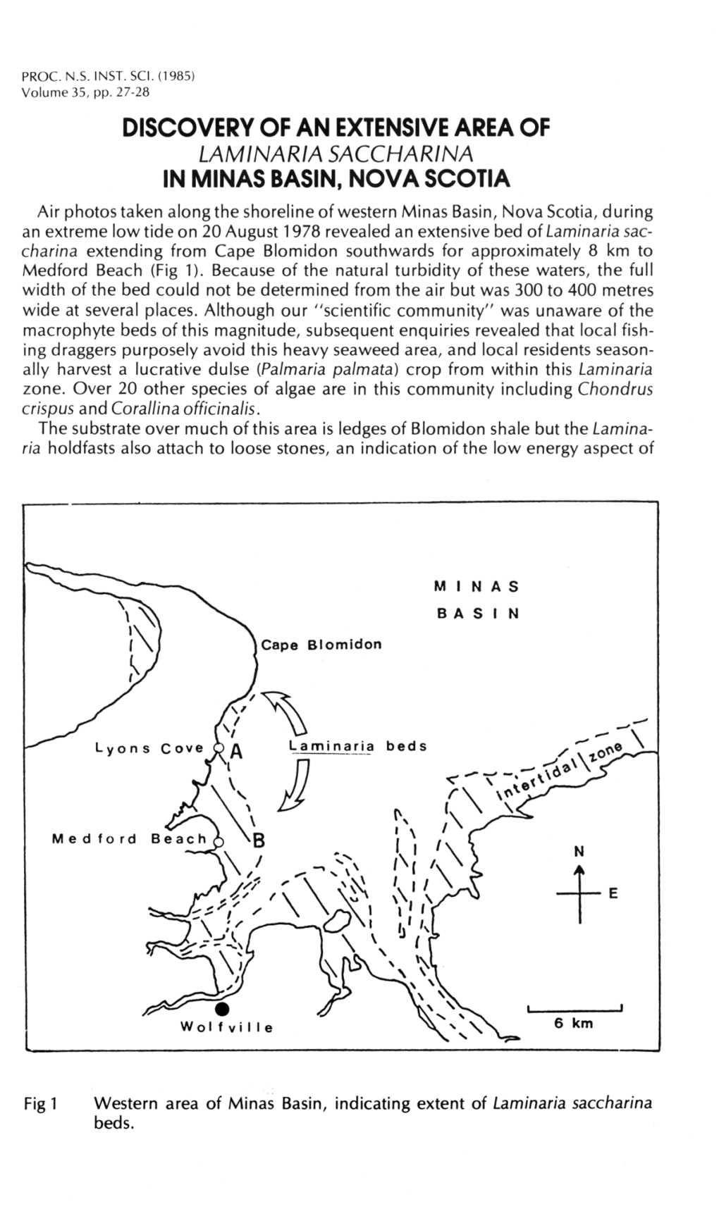 Discovery of an Extensive Area of in Minas Basin. Nova