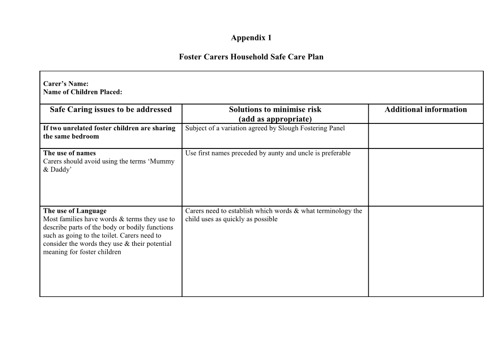 Foster Carers Household Safe Care Plan