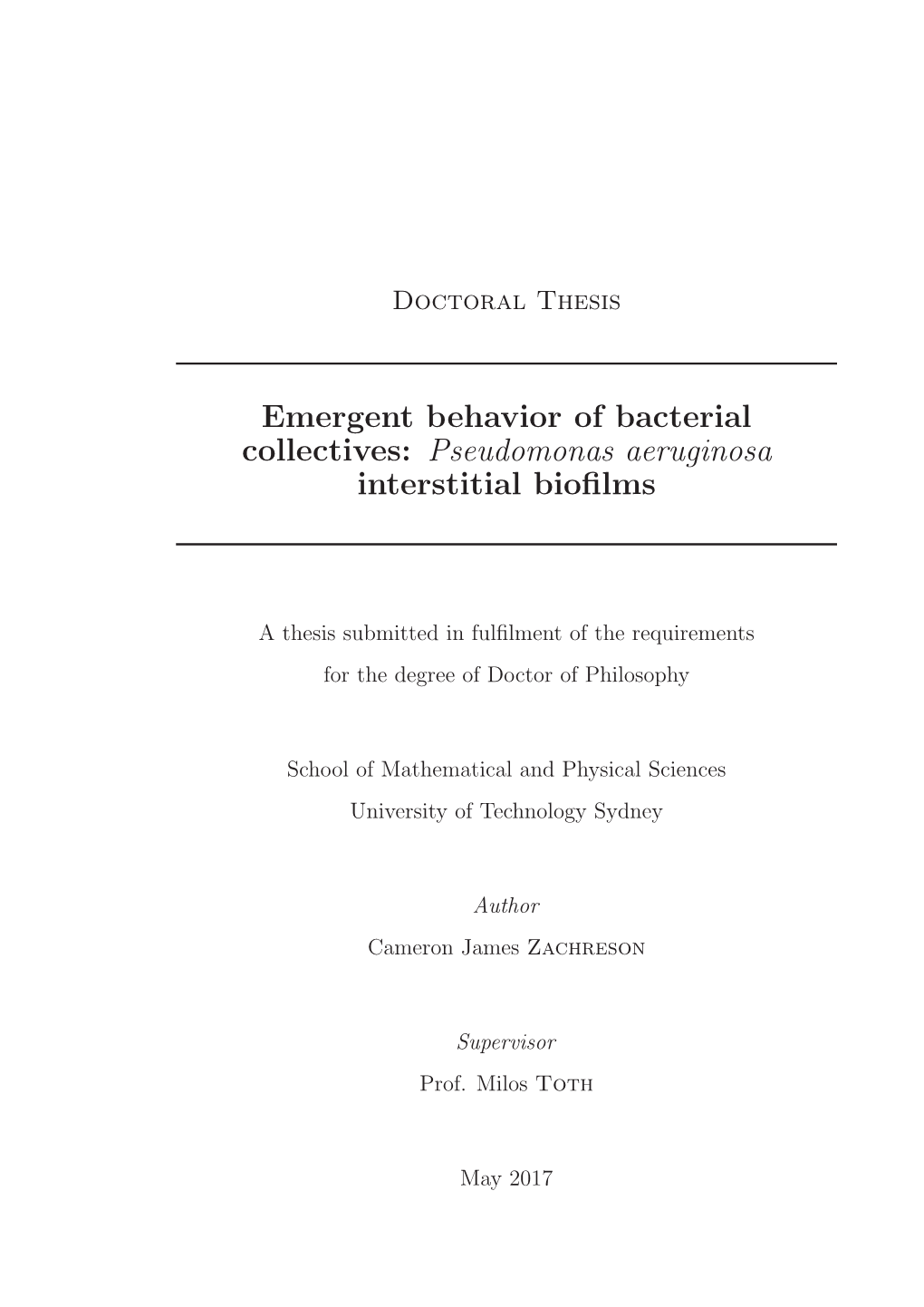 Emergent Behavior of Bacterial Collectives: Pseudomonas Aeruginosa Interstitial Bioﬁlms