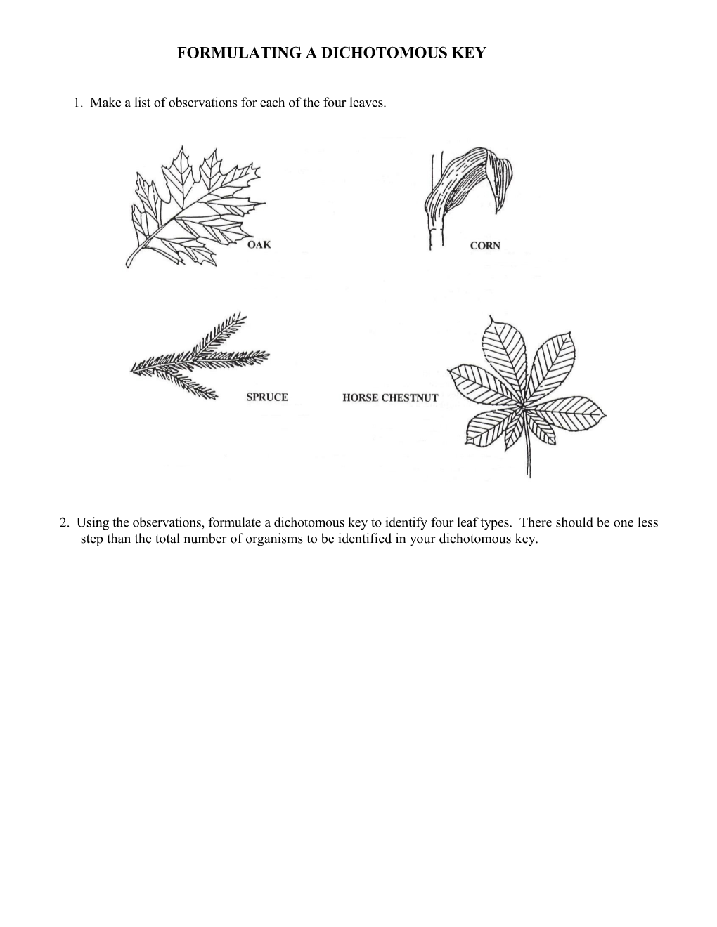 Making Observations and Formulating a Dichotomous Key