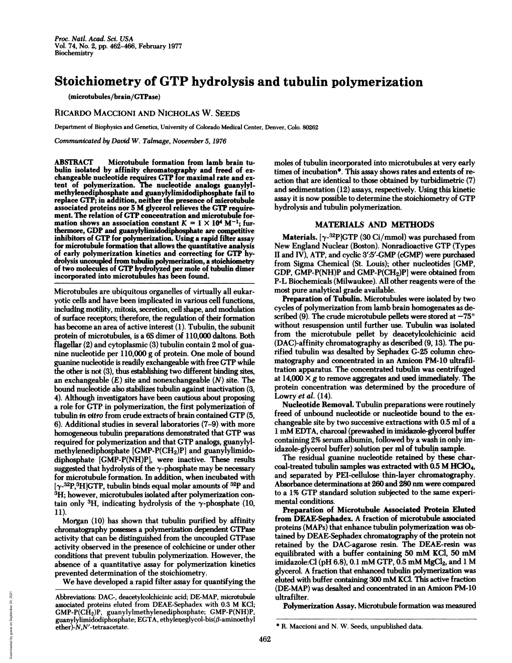 Stoichiometry of GTP Hydrolysis and Tubulin Polymerization (Microtubules/Brain/Gtpase) RICARDO MACCIONI and NICHOLAS W